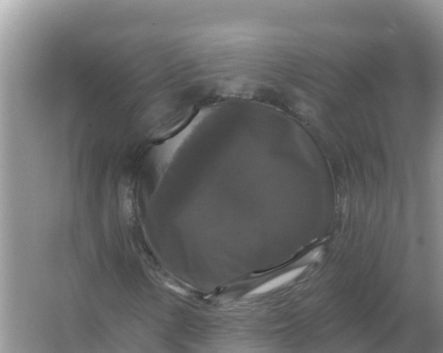 X0000066971154200604072023