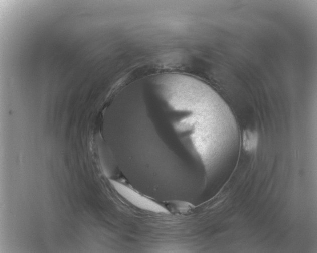 X0000066971155200604072023