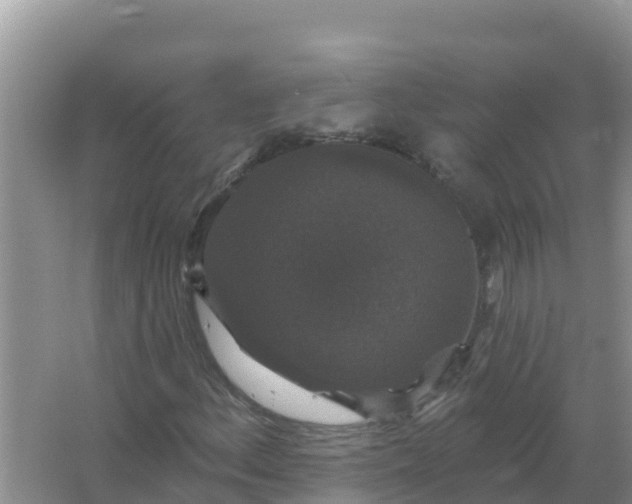 X0000066971156200604072023