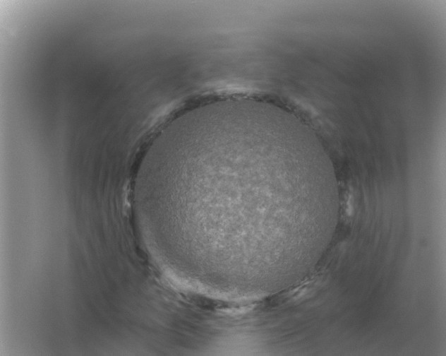 X0000066971157200604072023