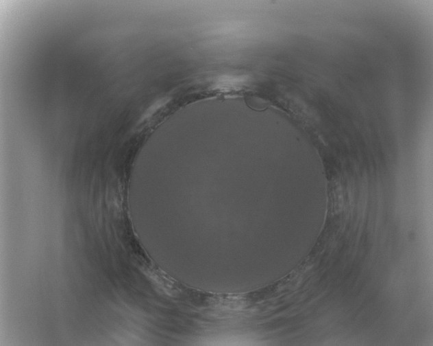 X0000066971158200604072023