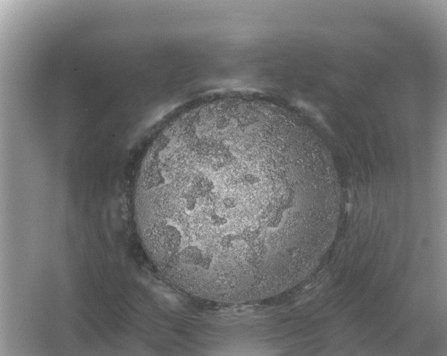 X0000066971159200604072023