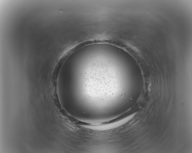 X0000066971160200604072023