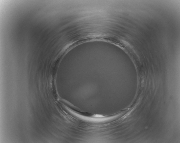 X0000066971161200604072023