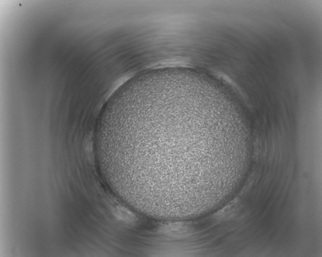 X0000066971162200604072023