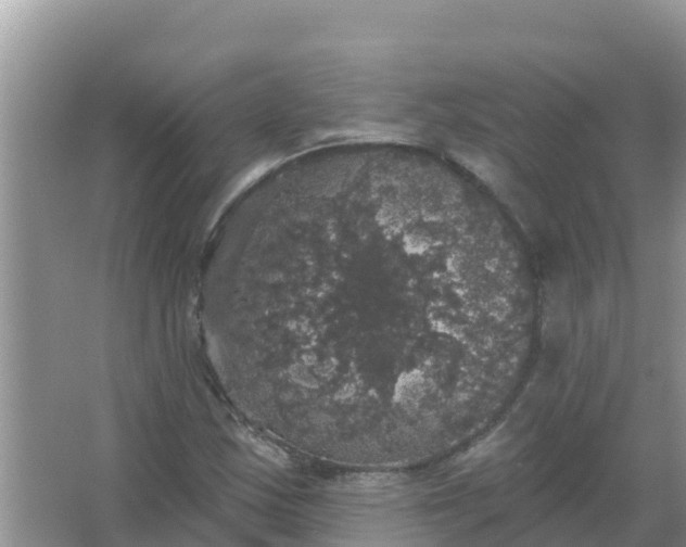 X0000066971163200604072023