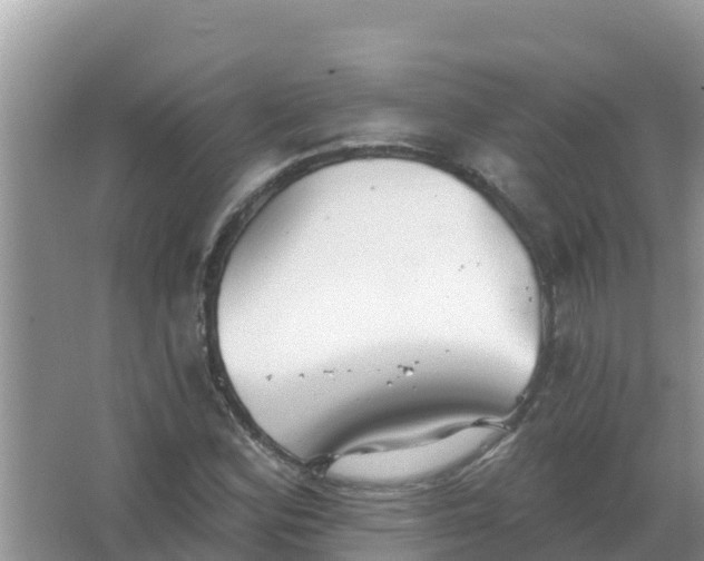 X0000066971164200604072023