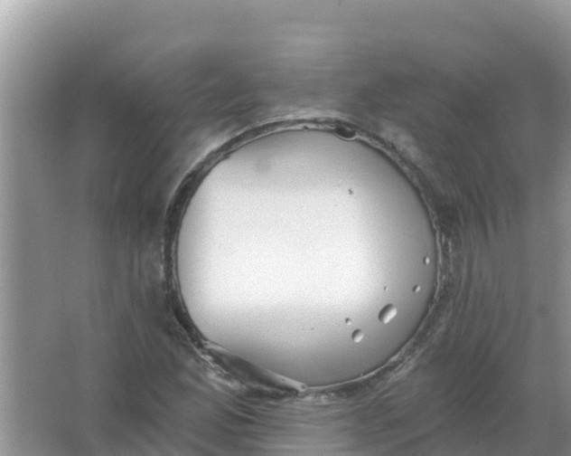 X0000066971165200604072023