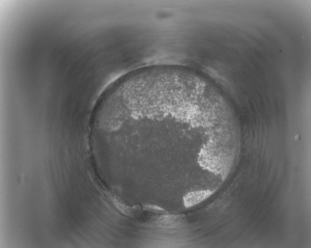 X0000066971166200604072023