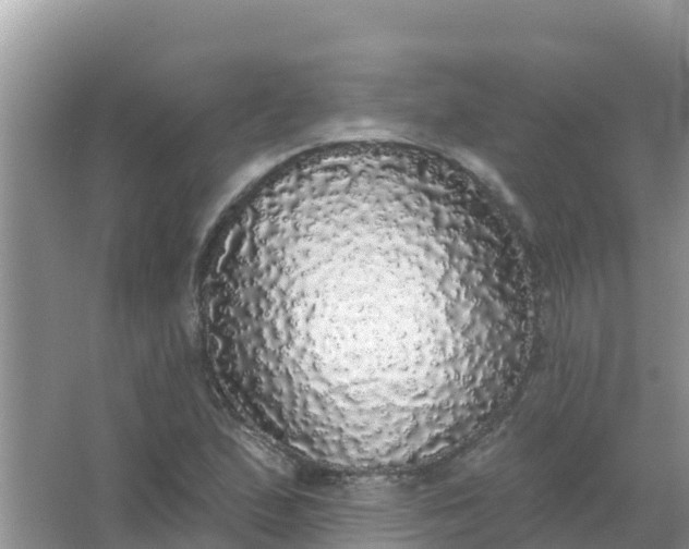 X0000066971167200604072023