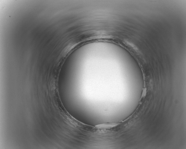 X0000066971169200604072023