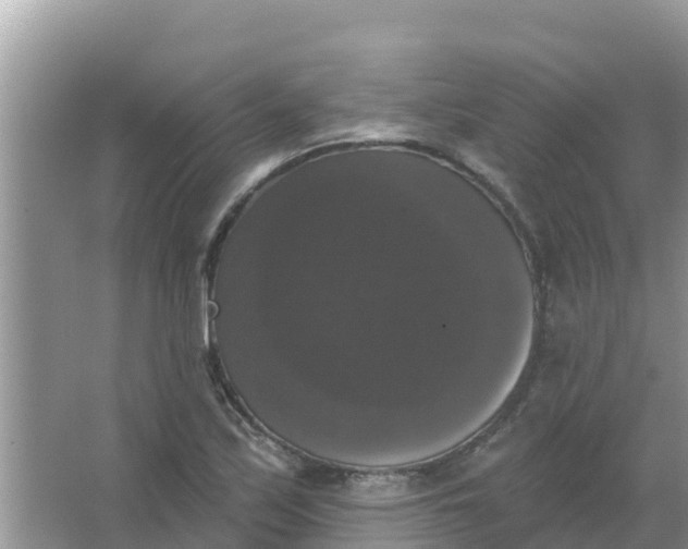 X0000066971171200604072022