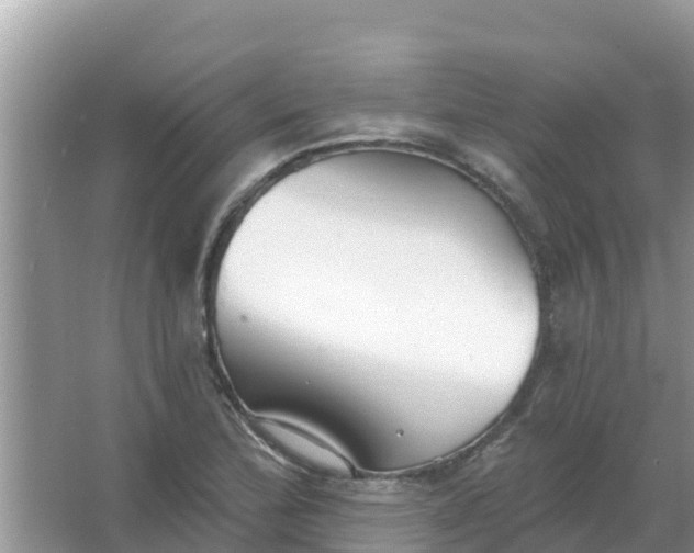 X0000066971172200604072022