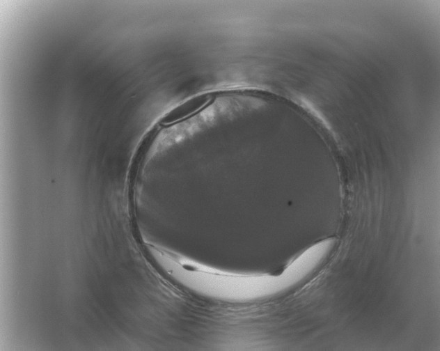 X0000066971173200604072022