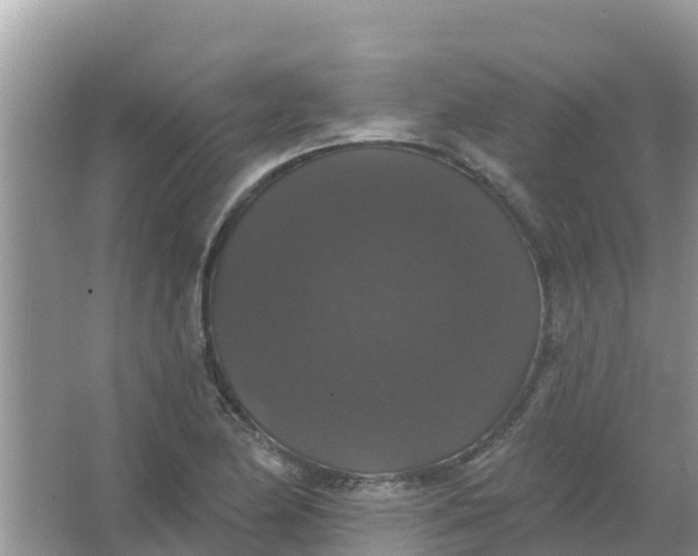 X0000066971174200604072022