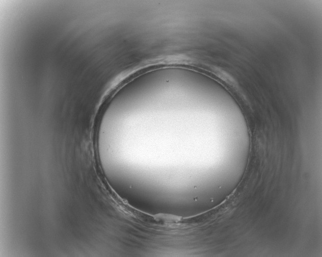 X0000066971176200604072022