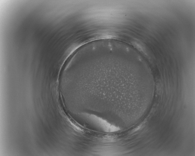 X0000066971178200604072022