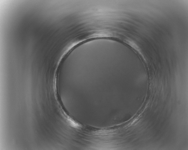 X0000066971179200604072022