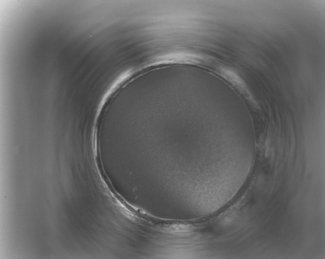 X0000066971180200604072022