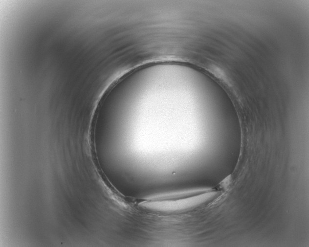 X0000066971181200604072022