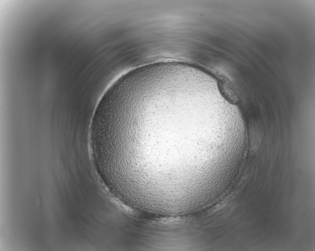 X0000066971182200604072022