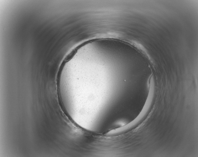 X0000066971184200604072022