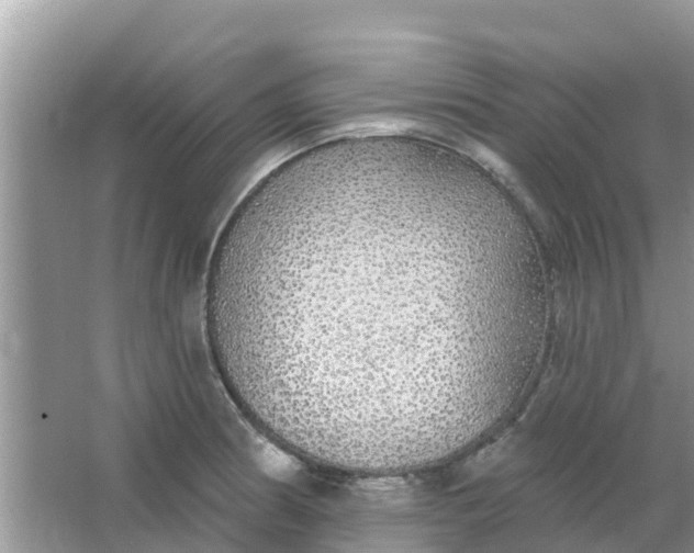 X0000066971186200604072022