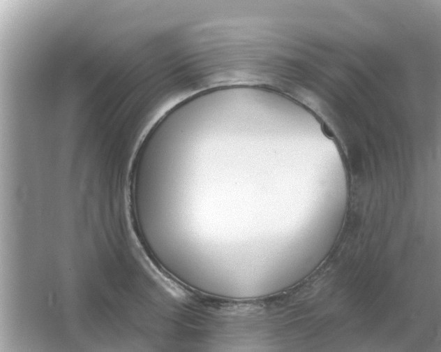 X0000066971187200604072022