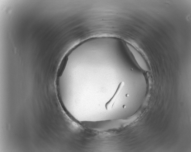 X0000066971189200604072022