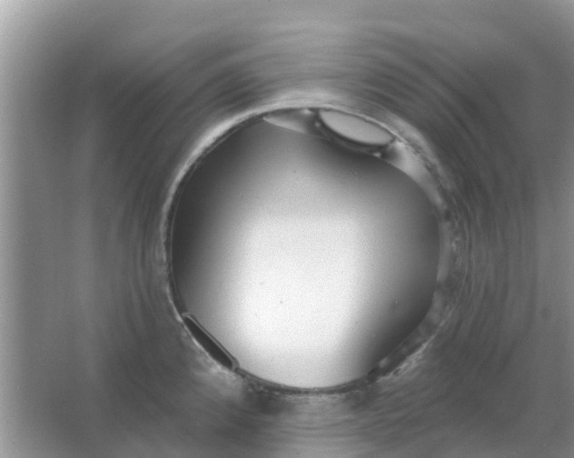 X0000066971192200604072022