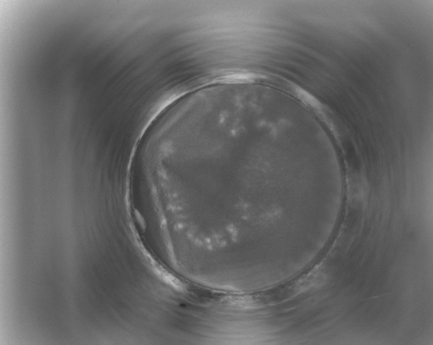 X0000066971194200604072022