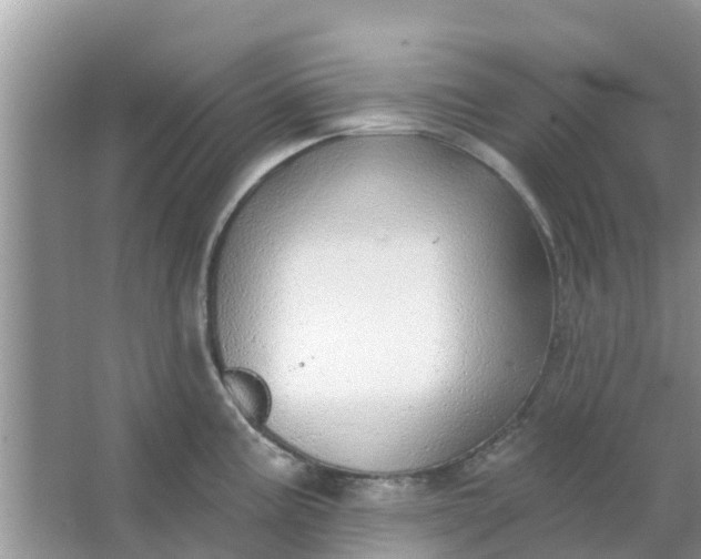 X0000066971195200604072022