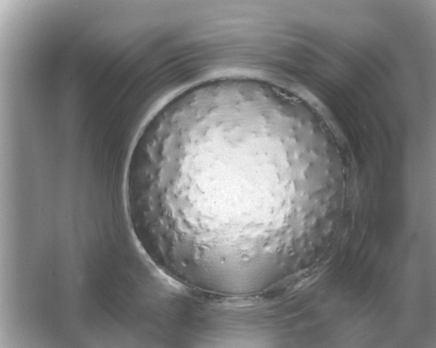 X0000066971199200604072022