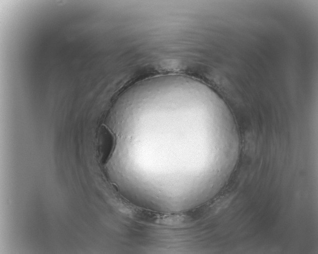 X0000066971201200604072021