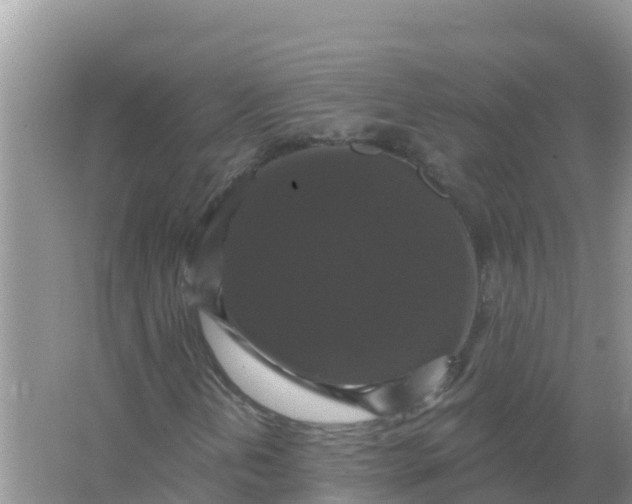 X0000066971202200604072021