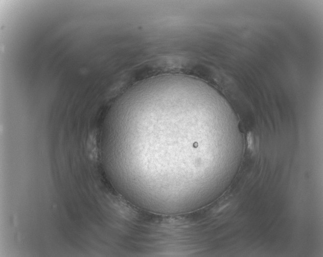 X0000066971203200604072021