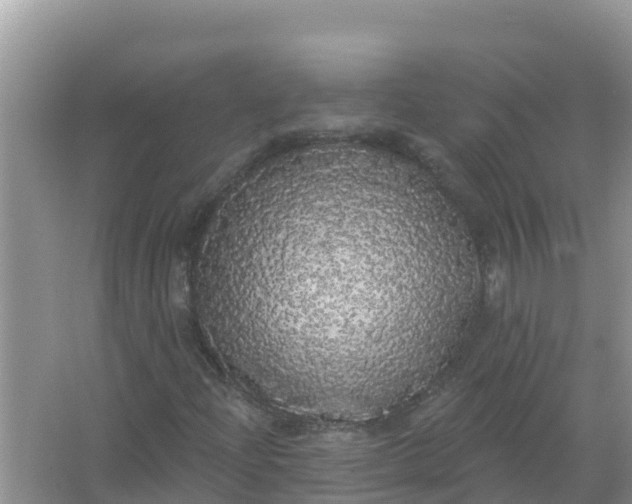 X0000066971204200604072021