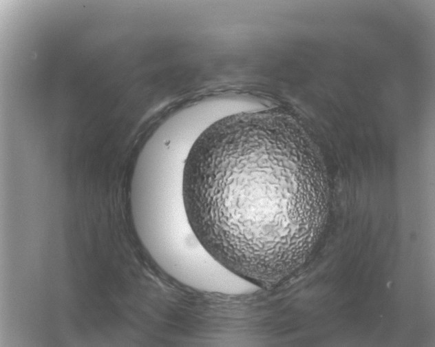 X0000066971206200604072021