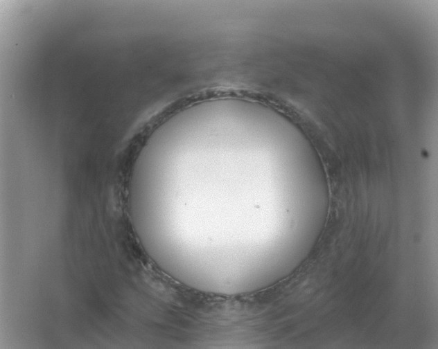 X0000066971207200604072021