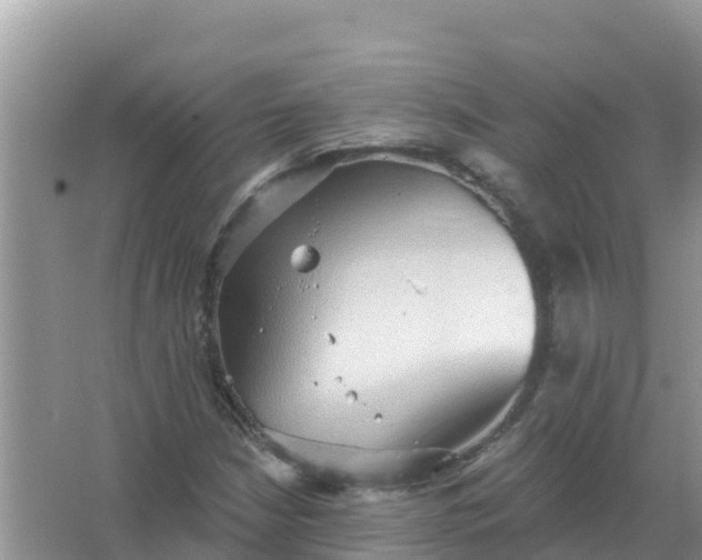 X0000066971210200604072021