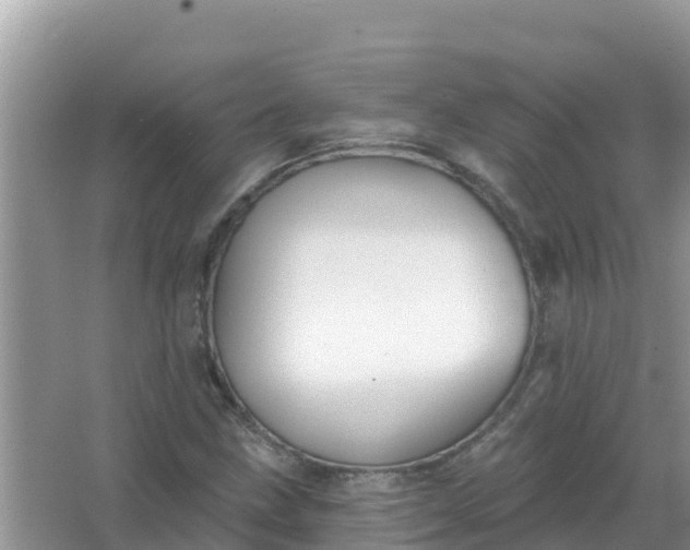 X0000066971211200604072021