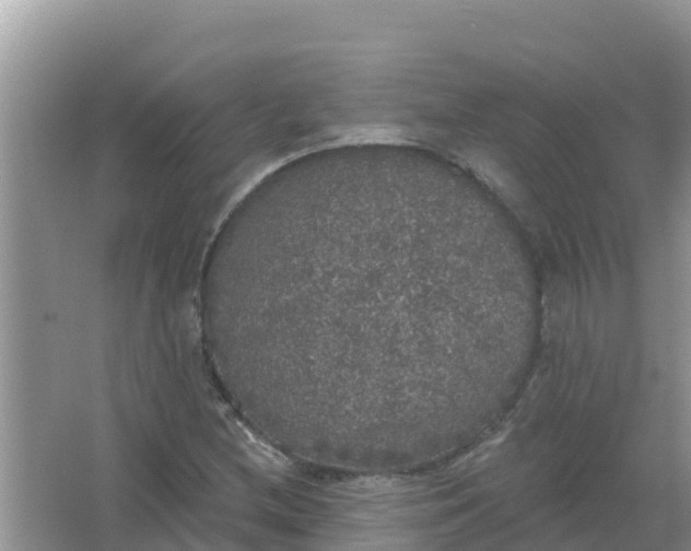 X0000066971212200604072021