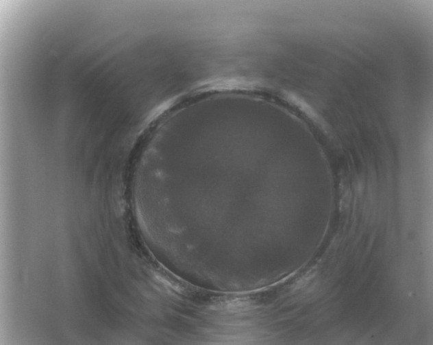 X0000066971213200604072021