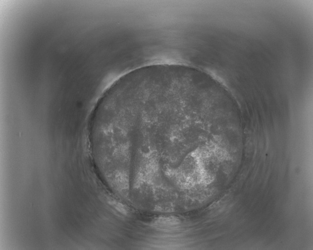 X0000066971215200604072021