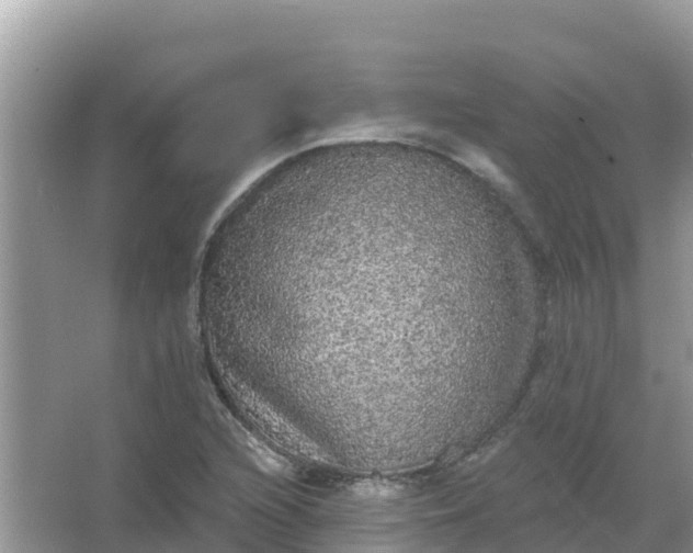 X0000066971216200604072021