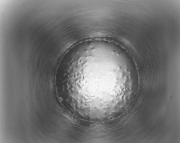 X0000066971217200604072021