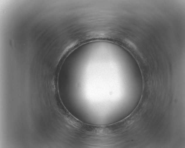 X0000066971218200604072021