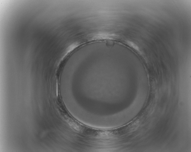 X0000066971219200604072021