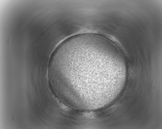 X0000066971220200604072022