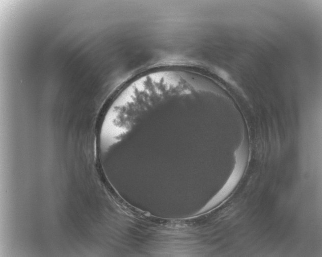 X0000066971221200604072022